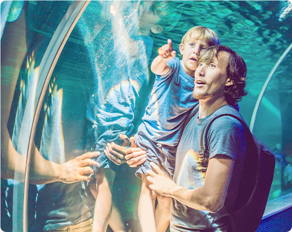 Leisure with Children in Dubai Leisure with Children in Dubai