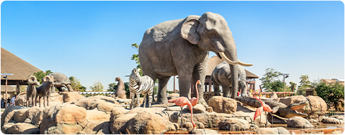 Zoo in Dubai Zoo in Dubai